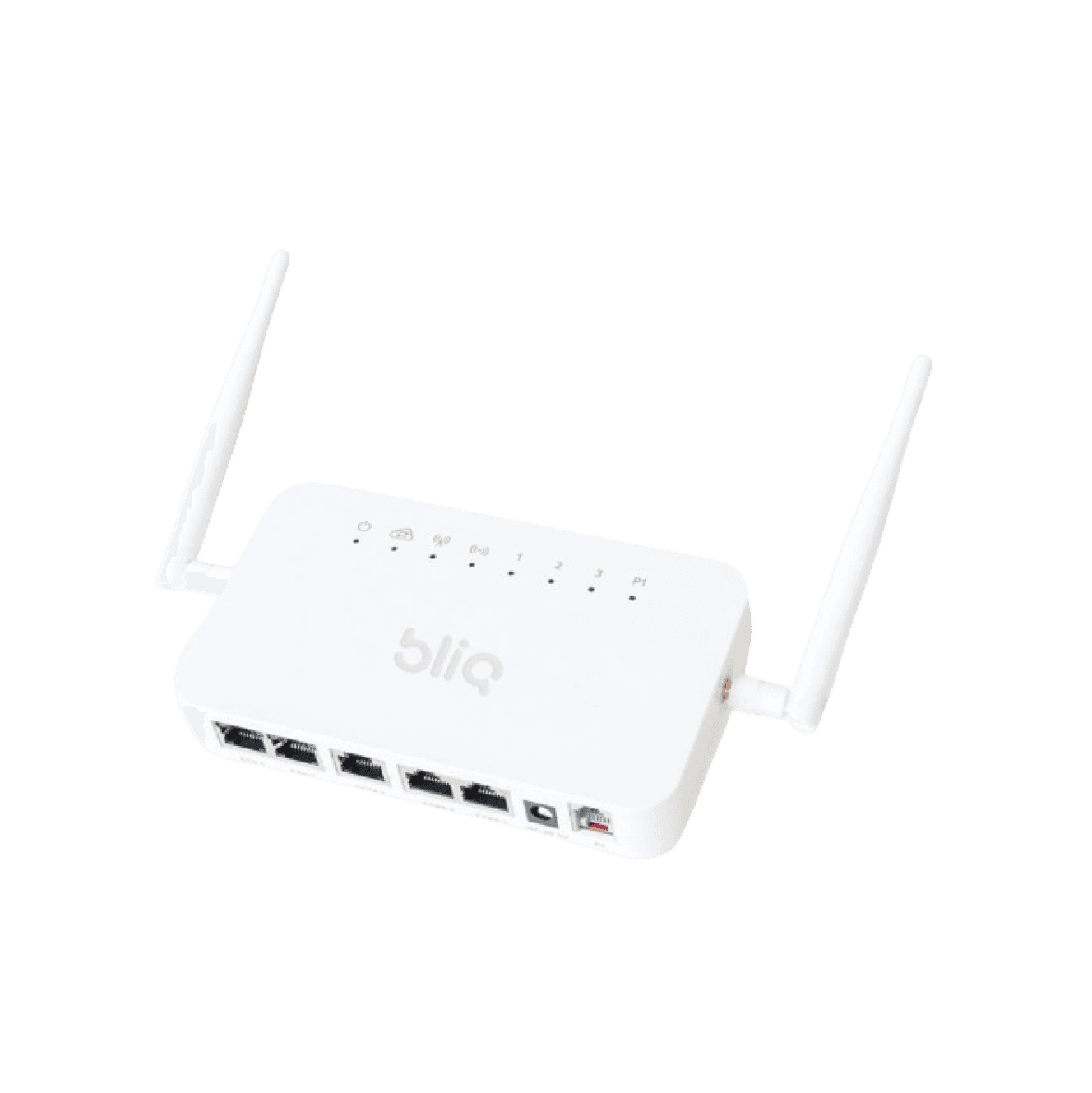 Bliq Energiemanager: Slim Stroom Opslaan met je eigen thuisbatterij